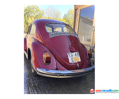 Volkswagen Escarabajo 1970