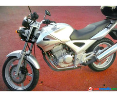 Honda Cbf 250 2004