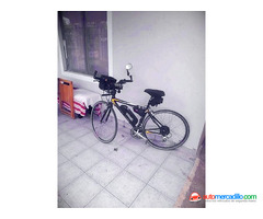 Magni Bicicleta de Carbono