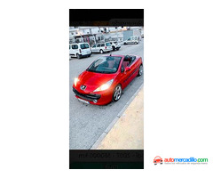 Peugeot 207 del 2007
