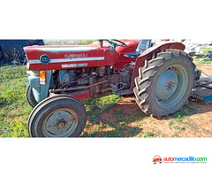 Massey Ferguson 135